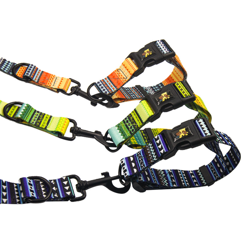 Correa y Arnés para Perro de Amazon, Conjunto Ajustable con Estampado, Correa Retráctil para Perro