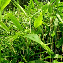 ���l���B���������o�¾G�����~������ �^�����������~���~�����~