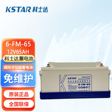 ��ʿ�_��늳�6-FM-65 12V65AH�U����S�oUPS�Դֱ����ϵ�y����