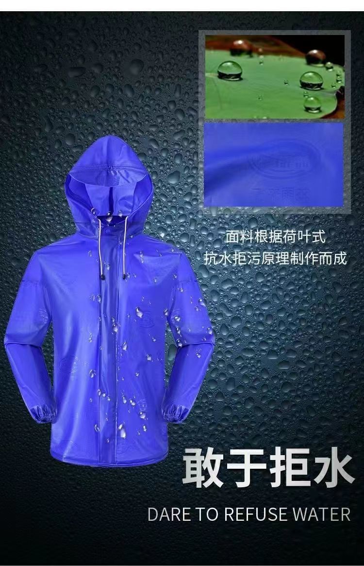 6d6f5df7-b1c7-460f-82d0-8431fa363d9a.jpe