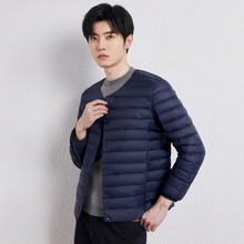 2024�����¿���ʿ�p����q���A�I�̿��đ�q��90�����q��ů�L���