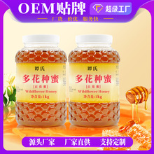 ������Ȼ�r���Ԯa�ٻ�����Ұ�������۷䳲��1000g��N����