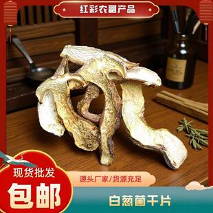 �Sţ�ξ� Ұ��ţ�ξ� �Sţ�ξ���؛ ��偵갾���Sţ�ξ����l