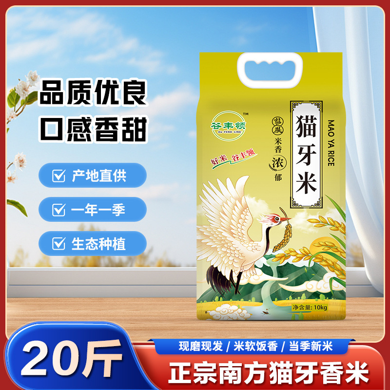 [Xinke Lireduced] Authentic Cat Tooth Rice Late Rice New Rice Fresh Southern Ecological Long Silk Seedling Fragrant Rice
