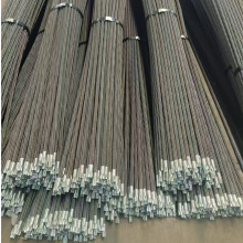 �ȏ��ݼy�ʽ��֬�^�U���ٗU�w���NҎ��V���^��