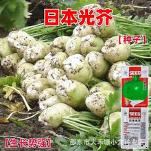 �ձ����N�Ӿ��x���^�ˈA�^������������ե�˷N���r���߲˷N��