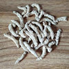 [Yuanrui Biology]White silkworm Extract Cordyceps Polysaccharide extractive Chinese herbal medicine extractive Manufactor