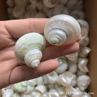 ��ؐ����Ȼ����ؐ��ҹ��ȥƤ�y�G�� �ľ�з��Q���ֹ�DIYؐ�����l