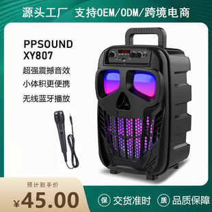 Handheld speakers, 8 inch, high power, bluetooth, Birthday gift