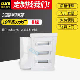 定制天翼36路照明箱 家用配电输电设备照明箱 开关盒暗明装配电箱