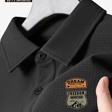 ����polo�����ļ���ʽ���ƌ�����ʿ���It�������r���I����Y