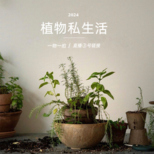 ֲ��˽���� ֱ���g3̖����朽�һ��һ�����l