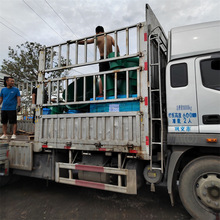 02S404Էˮ׹ AͨLA bж