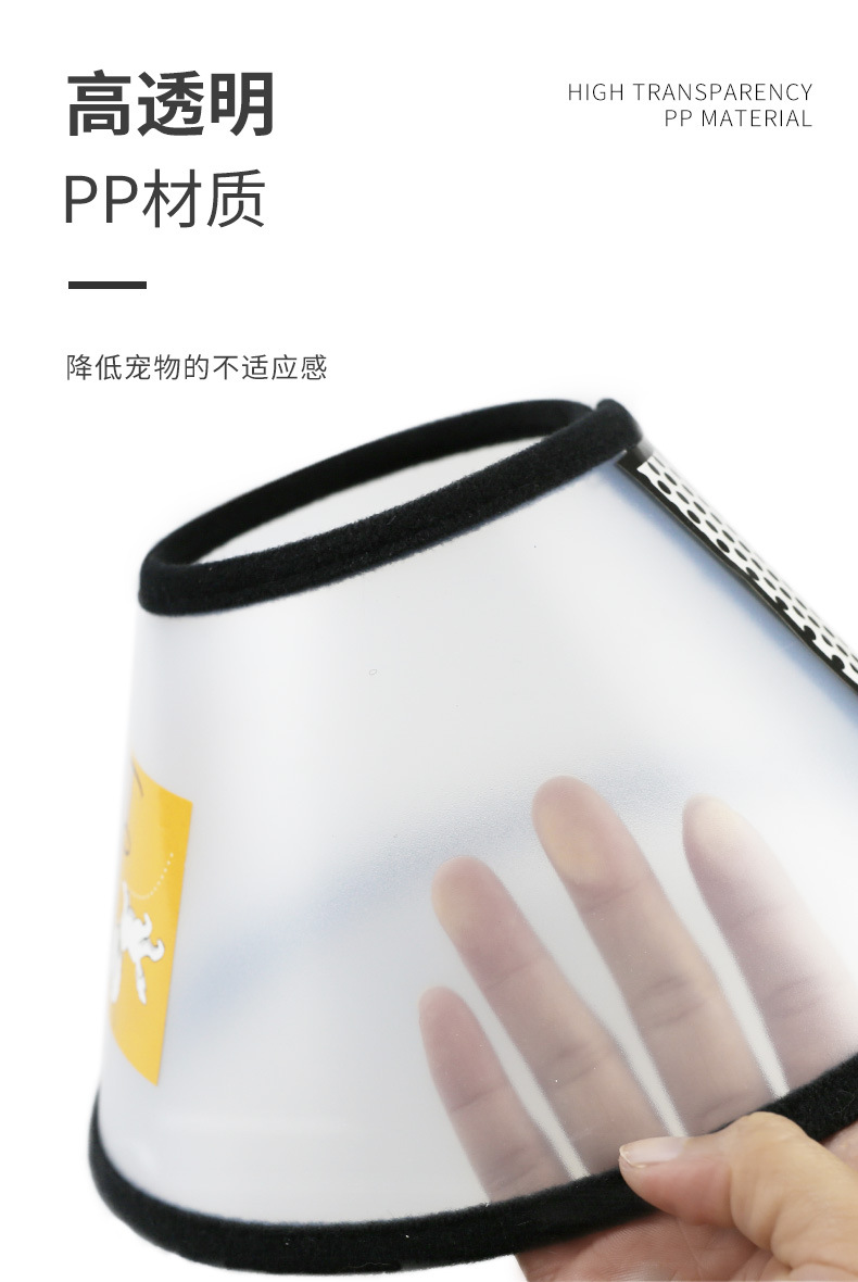 伊丽莎白详情_06