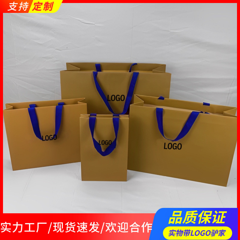 Original Designer Handbag Paper Bag Special Paper Gift Bag High-End Elegant Beautiful Bag Tote Bag