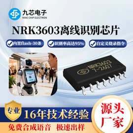 九芯电子离线语音识别芯片 自定义烧录指令人声智能控制NRK3603款
