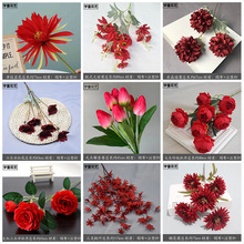 tɫϵc滨Ƶõ·Ŕ[廨ٻbϻ