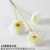 White, 3D