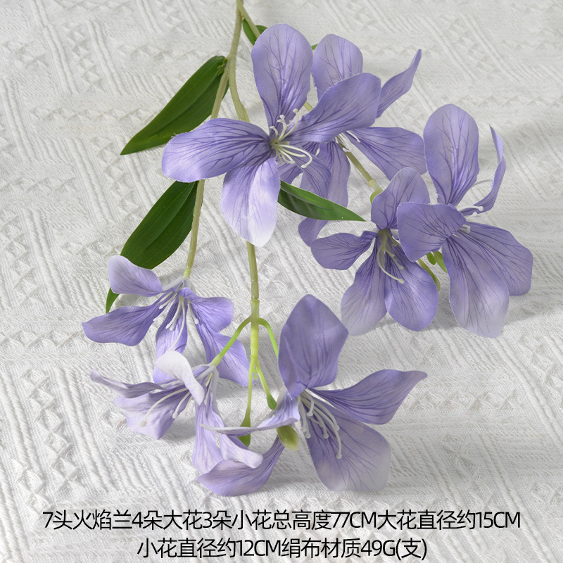 7 orquídeas llameantes moradas oscuras