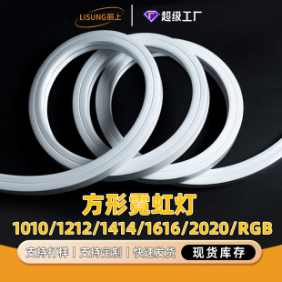 Neon strip 1ed strip 0808/1010/2020/1212/1616 outdoor project square led strip