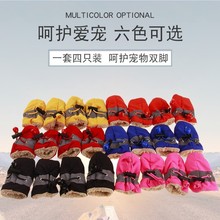 �����ļ�ܛ�׌W����������ЬС��Ȯ̩�ϱ��ܷ�����������Ь