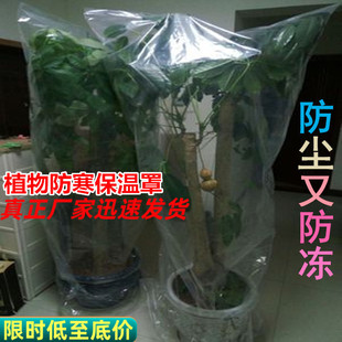 Green Plant Antifreeze Insulation Bag Plastic Film Flower Potted Plant Winter Protection Cover Trees Cold Cloth Dust Bag Transparent