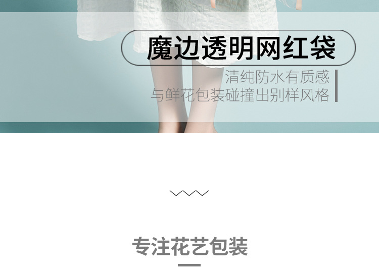 FC083-魔边透明网红袋_02.jpg