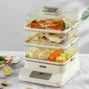 Scarlett Star High Quality Electric Steamer