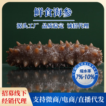 ��ʳ����SC���S�F؛���l���B�rʳ500G��؛��ʳ���B����