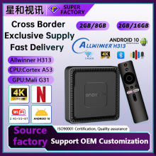 跨境专供全志h313安卓10.0语音网络播放器电视机顶盒子外贸tv box