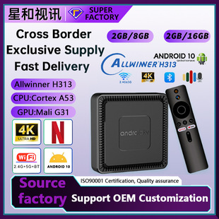 Cross-Border Supply of Allwinner H313 Android 10.0 Voice Network Player Tv Set-Top Box Export Tv Box
