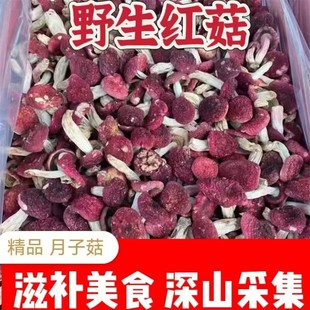 ��؛Ұ��С�t�����ڸ����a���ӹ���؛���tĢ��С���ٟo��t��