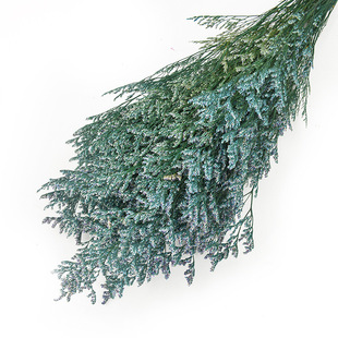 �������˲����l�滨�ɻ������廨����DIY��ˇƷ�������l120��/��