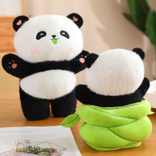 �ɐۇ�������؈����ë�q�����SͰ�ռ{������؈��ż��ͯ��������