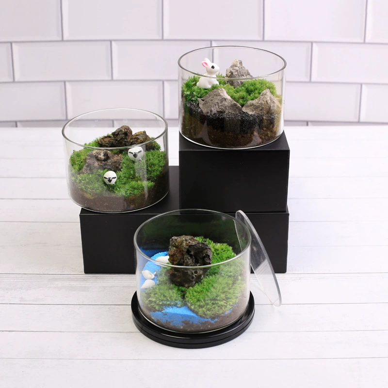 Мох микро пейзаж экологическая бутылка настольное Горшечное растение DIY креативное маленькое зеленое растение мини прямая трубка хорошо кормить мох