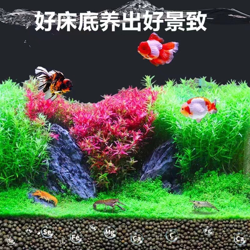 详情图
