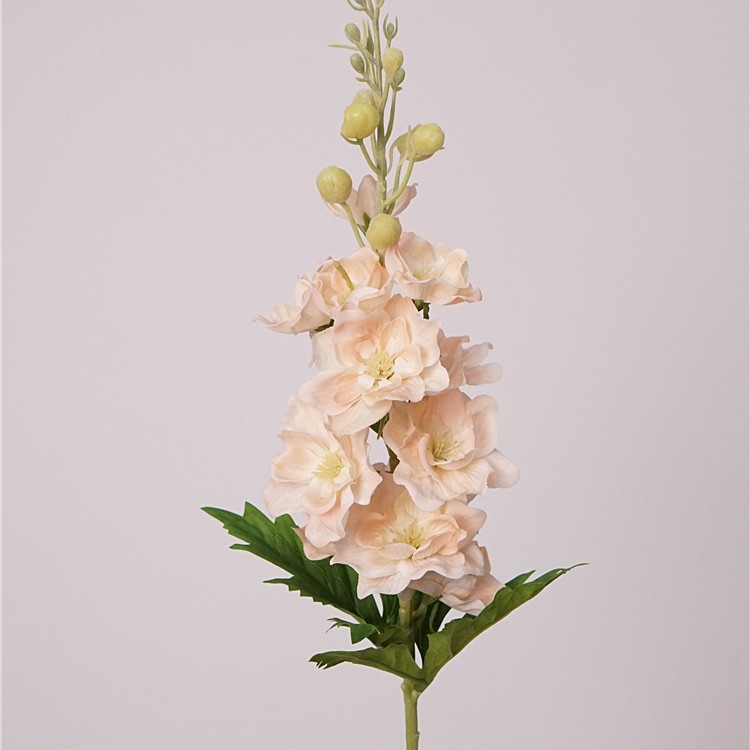 72cm 촉촉한 작은 제비풀-라이트 샴페인