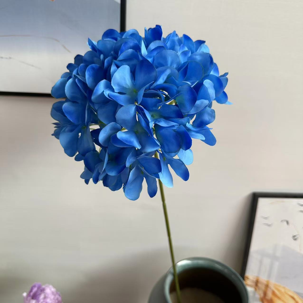 单支绣球1.8蓝色