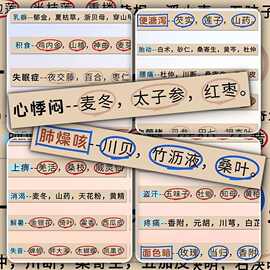 96张中草药处理知识点贴纸医学生必备中草药速记考试笔记详细装饰