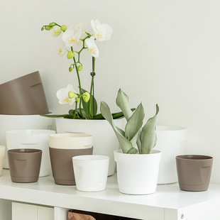 ���豱�W�L�A��߅�����бP�����ˮ͸��ظ������OӋ���þGֲ����