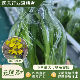 �л������m0180�S����ʹƿ��M�����״���҃������Ի�������r��