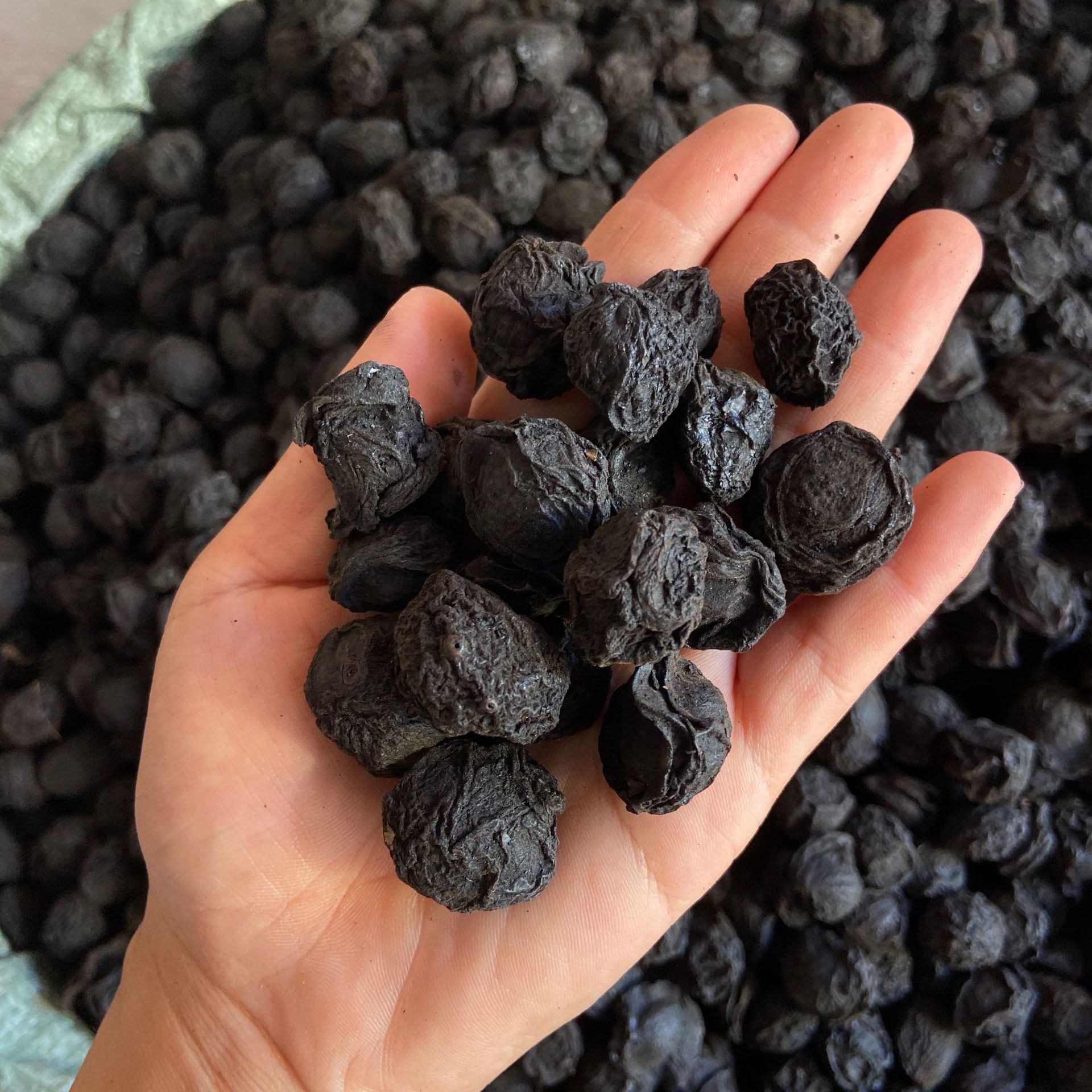 微信图片_20220826211533