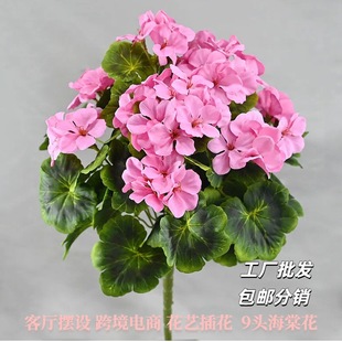 �S�����l��Ʒ�|�羳���溣�Ļ� �Ҿ��bzӰ���߿͏d�[�O����