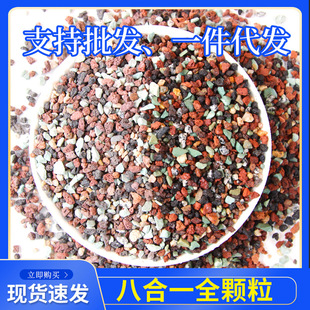 Factory wholesale generation of full grain iridescent stone meat planting mixed soil pavement granular soil pavement stone Universal Soil