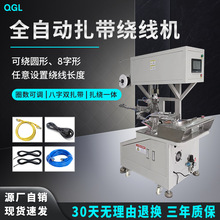 ȫ�Ԅ������@������һ�w�C�������Դ��AC��DC�����Ӿ��W���ԄәC