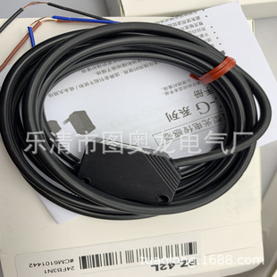 Professional Technology Spot Brand New Pz-V31 Pz-V11 Photoelectric Switch with One Year Warranty