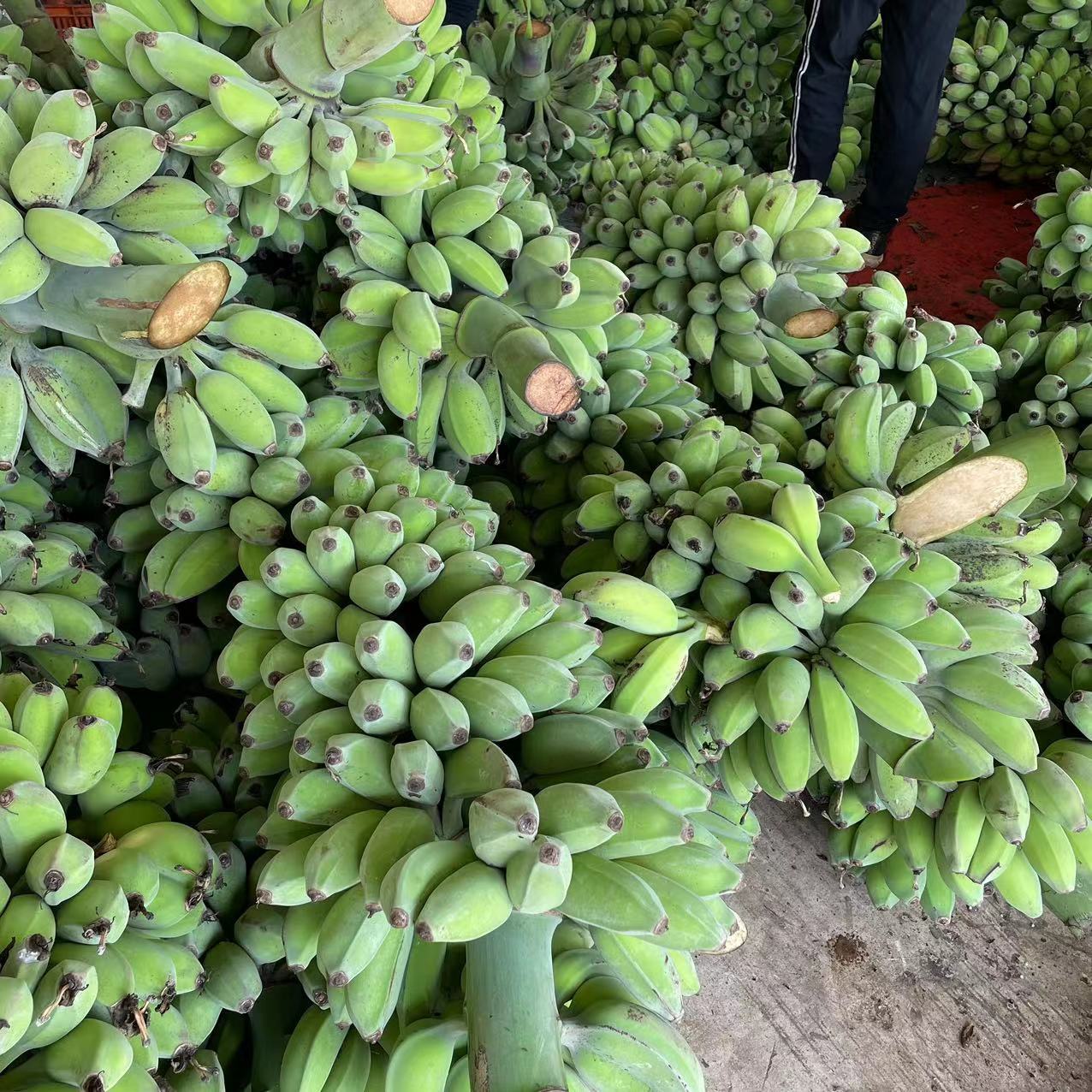 微信图片_20230512101837