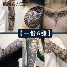 �����x�M�ϡ����y���N����ˮ�־��п��֭�����û��۲��������