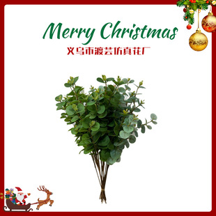 ���滨��֦�ȼ����~�ָн��X�~3D���X�ݷ���ֲ���c�Ҿ��bٻ�