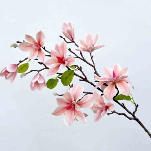 ���m�� 9�^ľ�m���ָз��滨�Ҿӻ�Y�Y�ñ��������廨�bٻ�